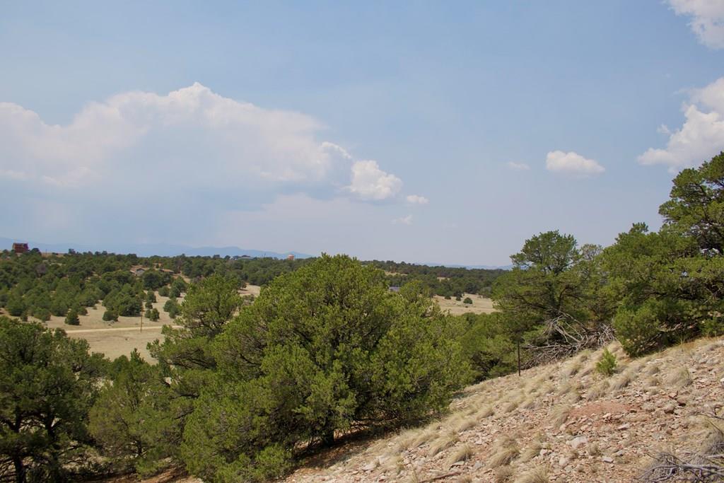 Unit #4 Unit Road Walsenburg, CO 81089 - Photo 24 of 36