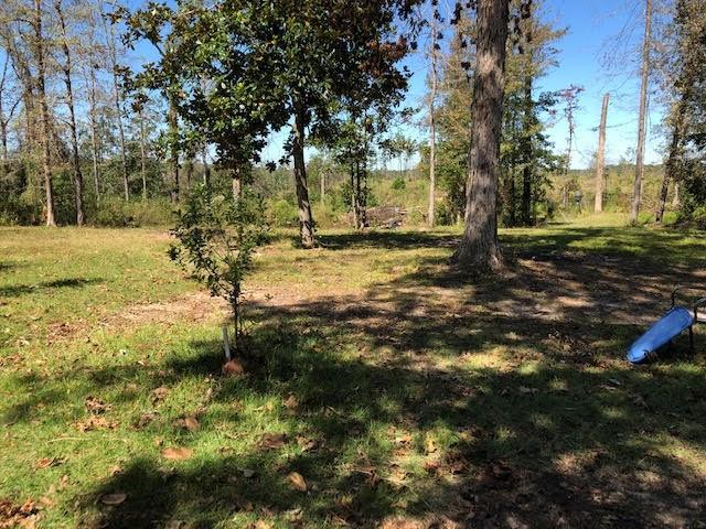335 Walker Road Pollock, LA 71467 - Photo 5 of 16 Gallery Image 5