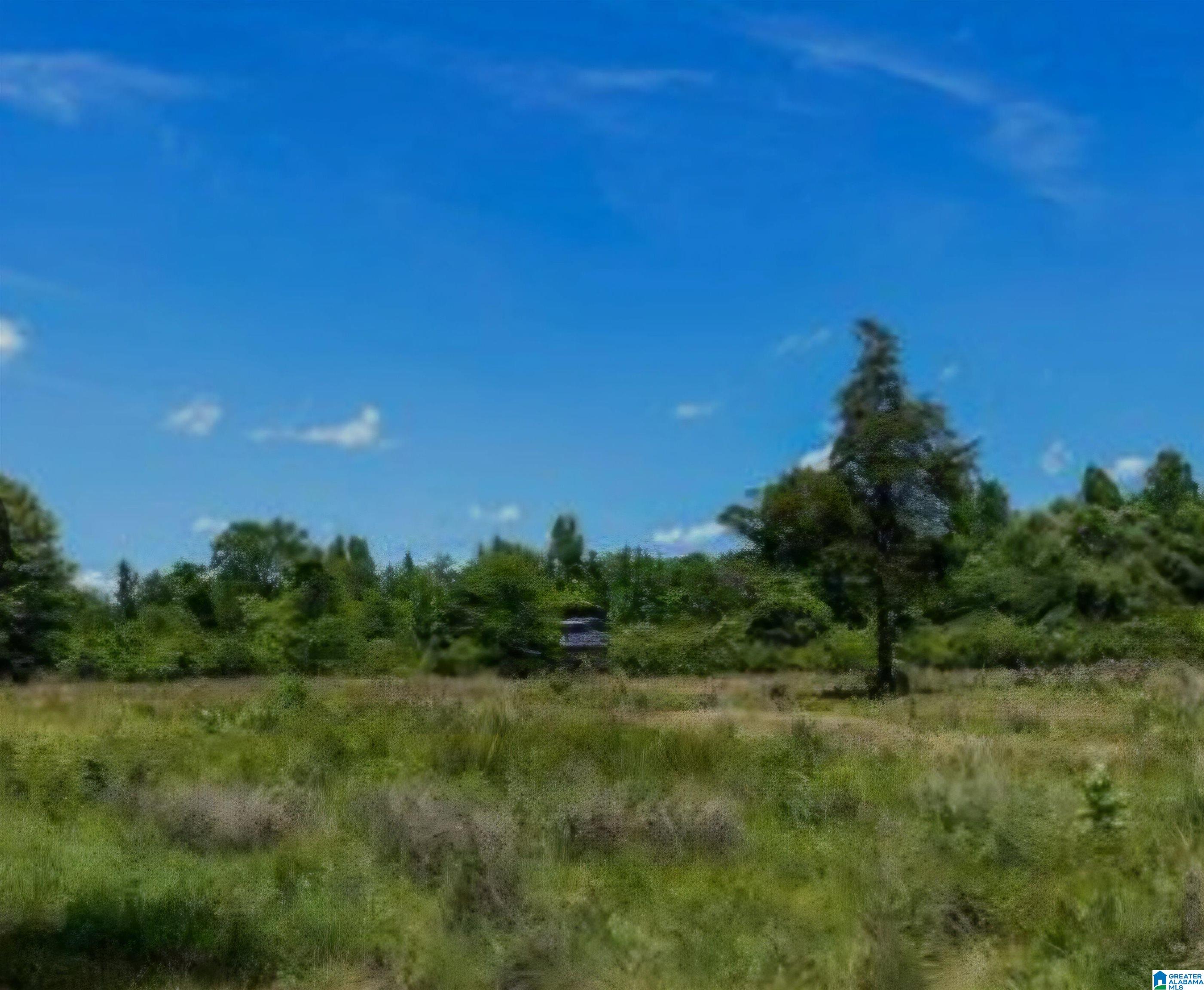 0 County Road 103, Unit 1 Plantersville, AL 36758 - Photo 7 of 7