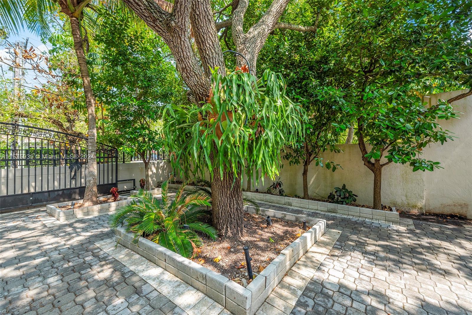 2811 Southwest 22nd Avenue Miami, FL 33133 - Photo 34 of 39 a view of a backyard with wooden fence and potted plants