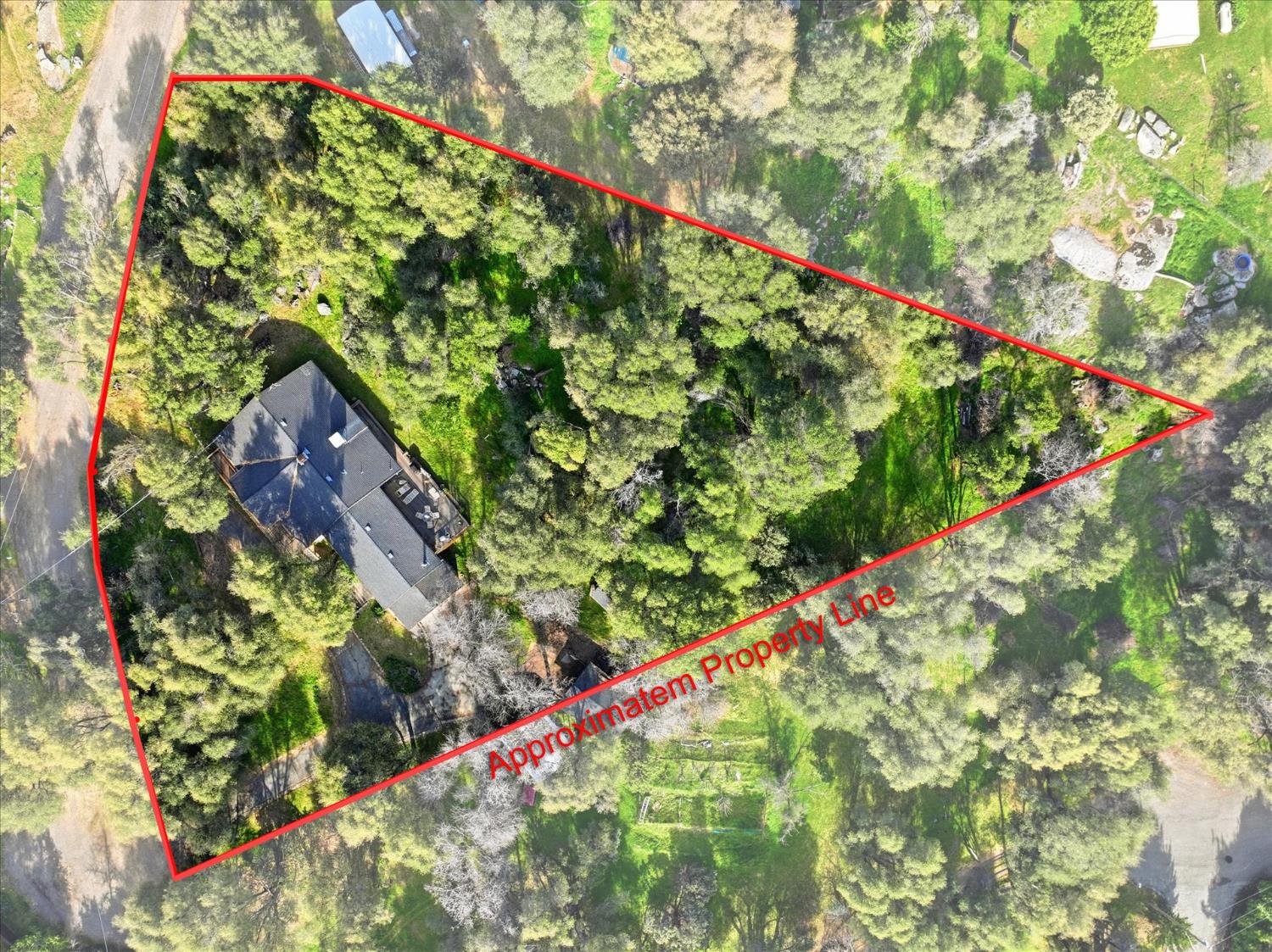 51590 Coyote Ridge Road Oakhurst, CA 93644 - Photo 47 of 49 a picture of flowers