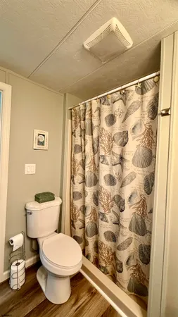 a white toilet sitting next to a shower curtain
