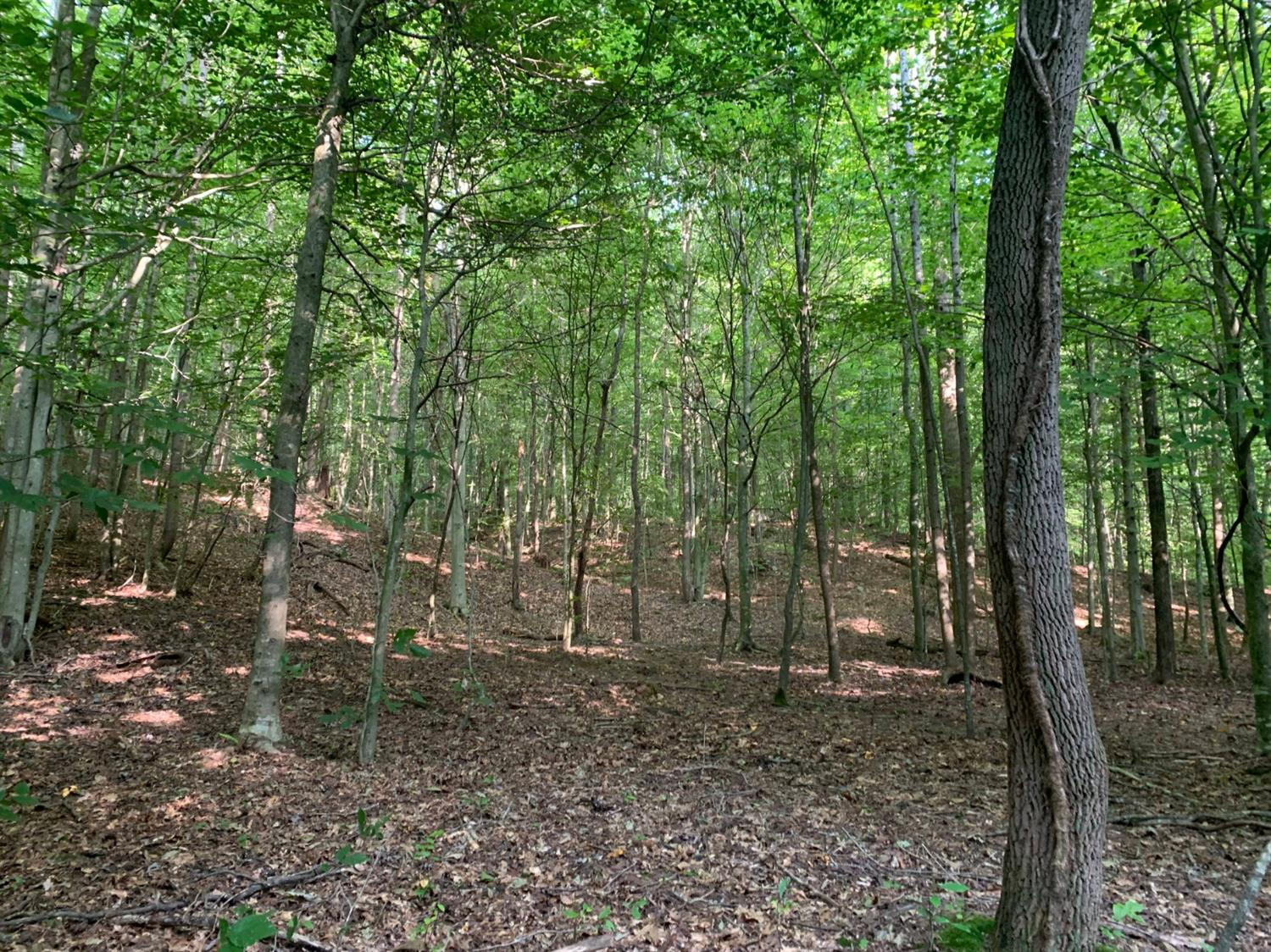 0 Upper Cane Creek Road Stanton, KY 40380 - Photo 19 of 34 Photo 20