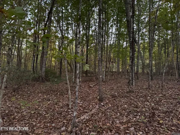 $65,500 | 0 Panther Falls Road, Wilder, TN 38589