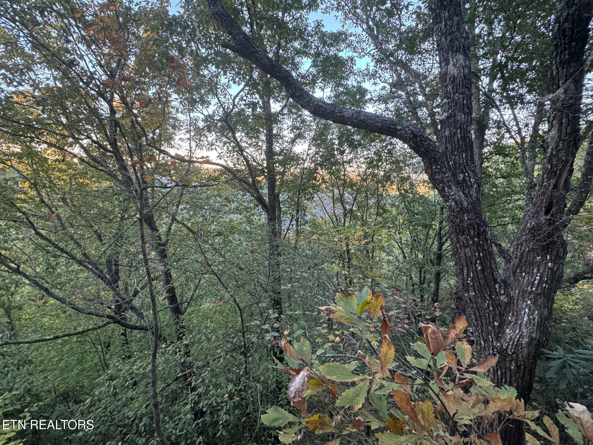 0 Panther Falls Road Wilder, TN 38589 - Photo 12 of 23 20241018141105083750000000-o