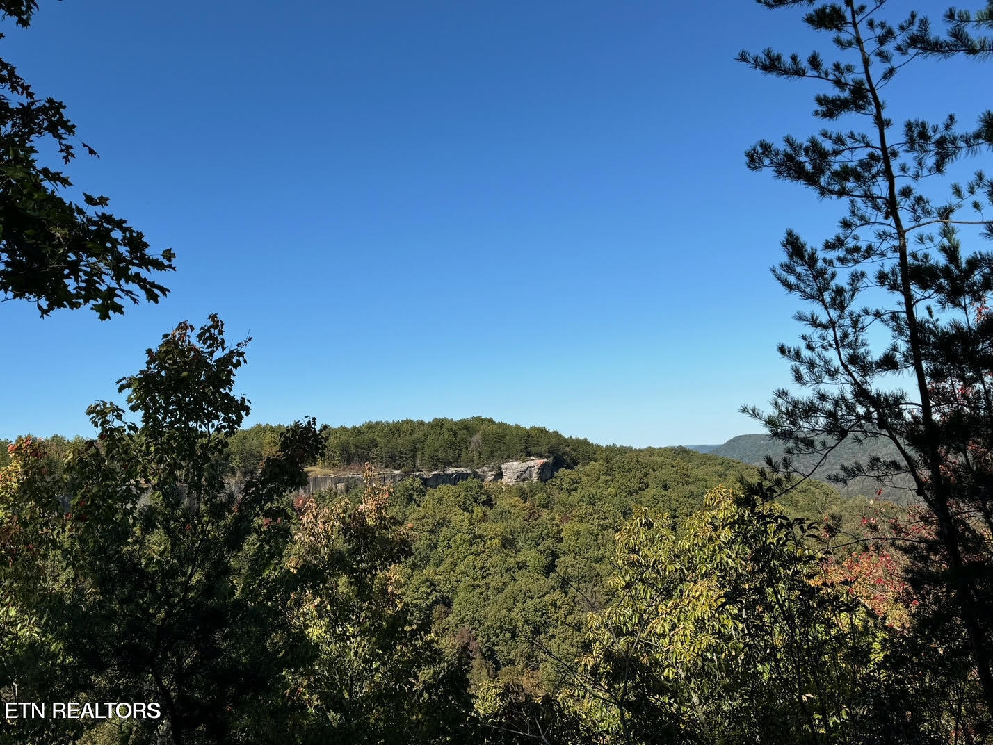 0 Panther Falls Road Wilder, TN 38589 - Photo 14 of 23 20241021135304463324000000-o
