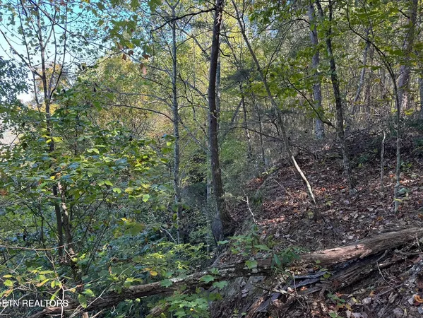 $65,500 | 0 Panther Falls Road, Wilder, TN 38589