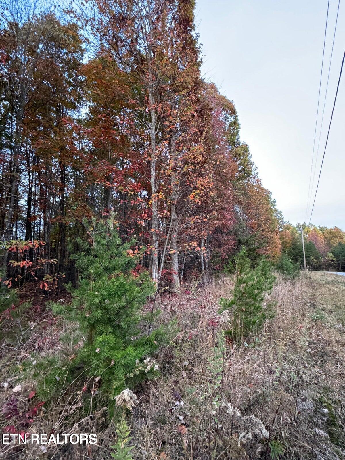 0 Panther Falls Road Wilder, TN 38589 - Photo 16 of 23 20241029143401817931000000-o