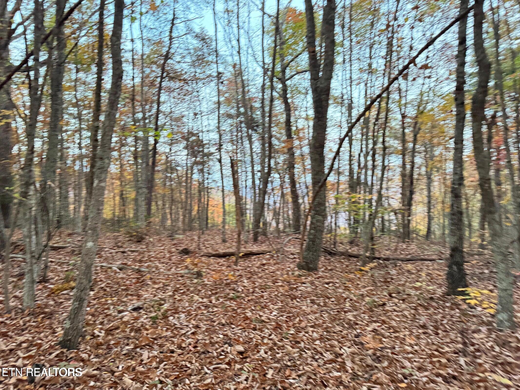 0 Panther Falls Road Wilder, TN 38589 - Photo 17 of 23 20241029143403211105000000-o