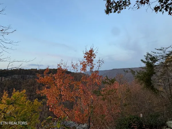 $65,500 | 0 Panther Falls Road, Wilder, TN 38589