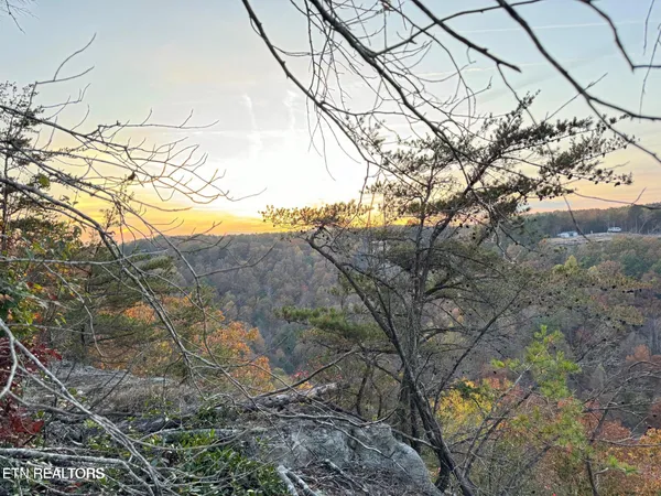 $65,500 | 0 Panther Falls Road, Wilder, TN 38589