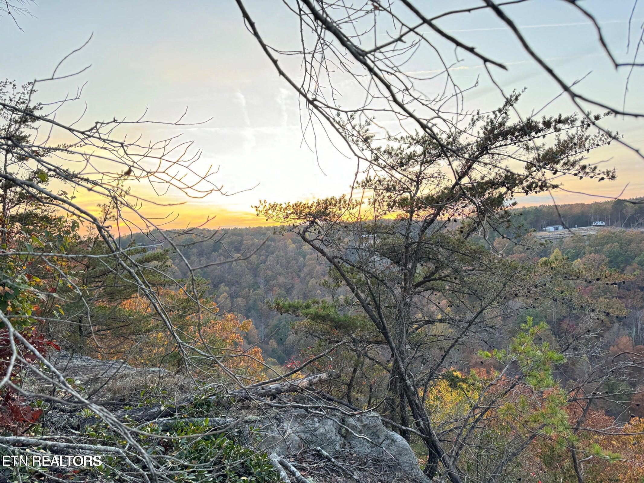 0 Panther Falls Road Wilder, TN 38589 - Photo 19 of 23 20241029143406052721000000-o