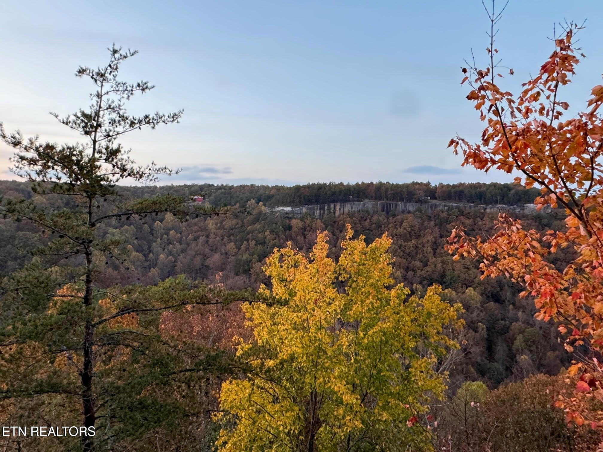 0 Panther Falls Road Wilder, TN 38589 - Photo 20 of 23 20241029143407803126000000-o