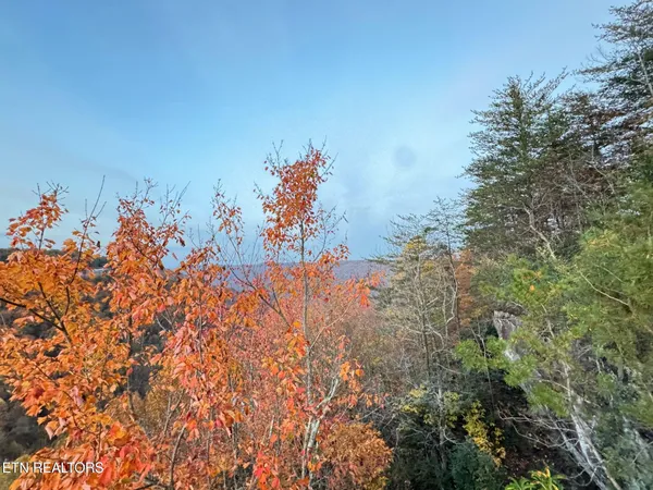 $65,500 | 0 Panther Falls Road, Wilder, TN 38589