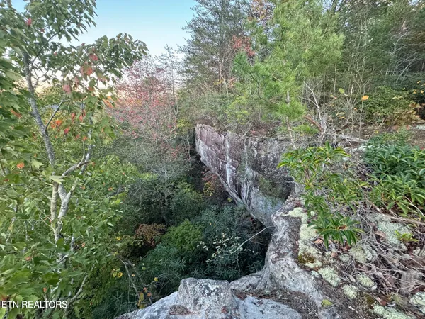 $65,500 | 0 Panther Falls Road, Wilder, TN 38589