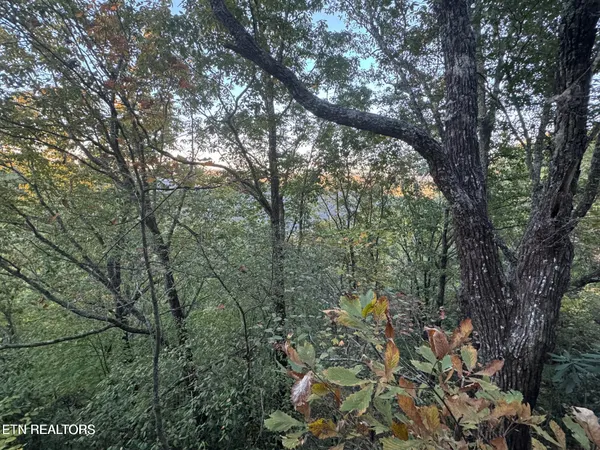 $65,500 | 0 Panther Falls Road, Wilder, TN 38589