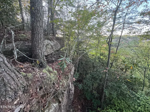 $65,500 | 0 Panther Falls Road, Wilder, TN 38589