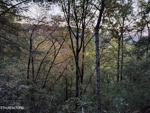 $65,500 | 0 Panther Falls Road, Wilder, TN 38589