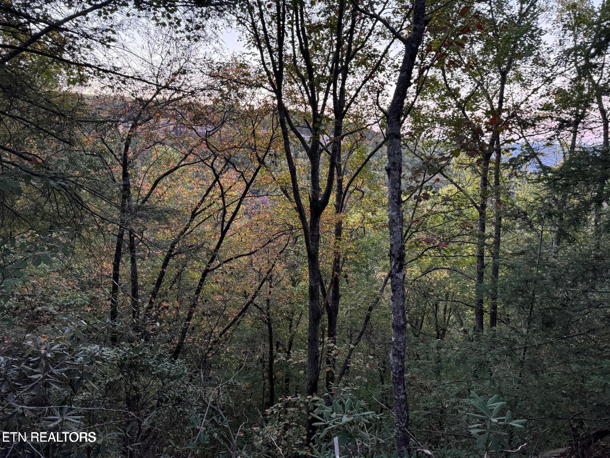 0 Panther Falls Road Wilder, TN 38589 - Photo 9 of 23 20241018141052397291000000-o