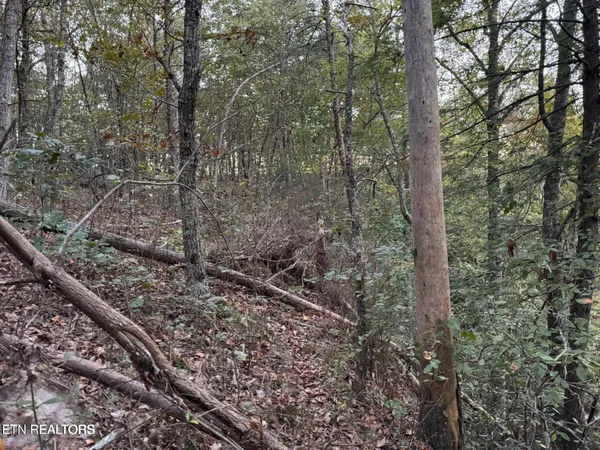 $65,500 | 0 Panther Falls Road, Wilder, TN 38589
