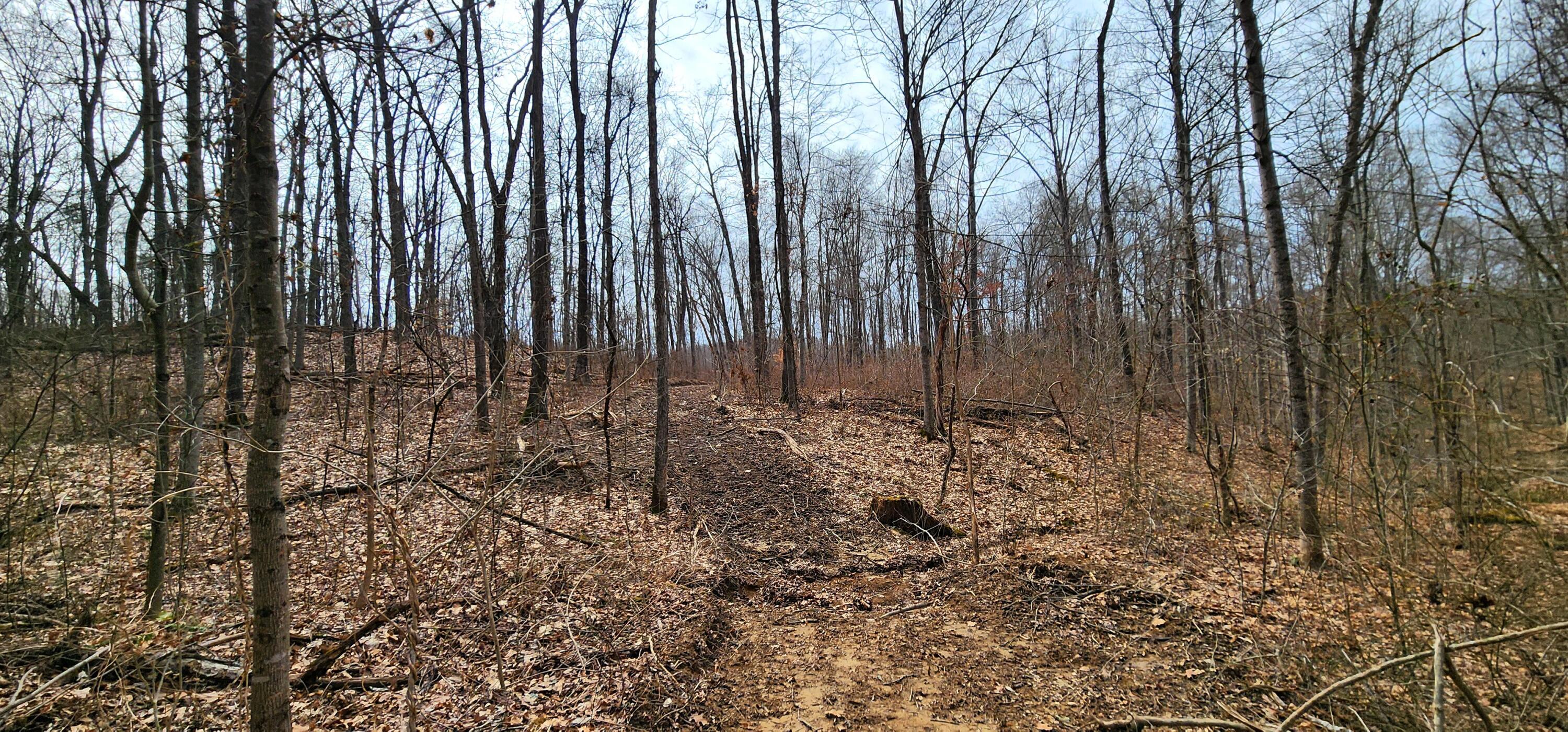 0 Edmundson Road, Unit TRACT 4 AT BIG TIMBER) Vinton, OH 45686 - Photo 43 of 67 20250307_115403