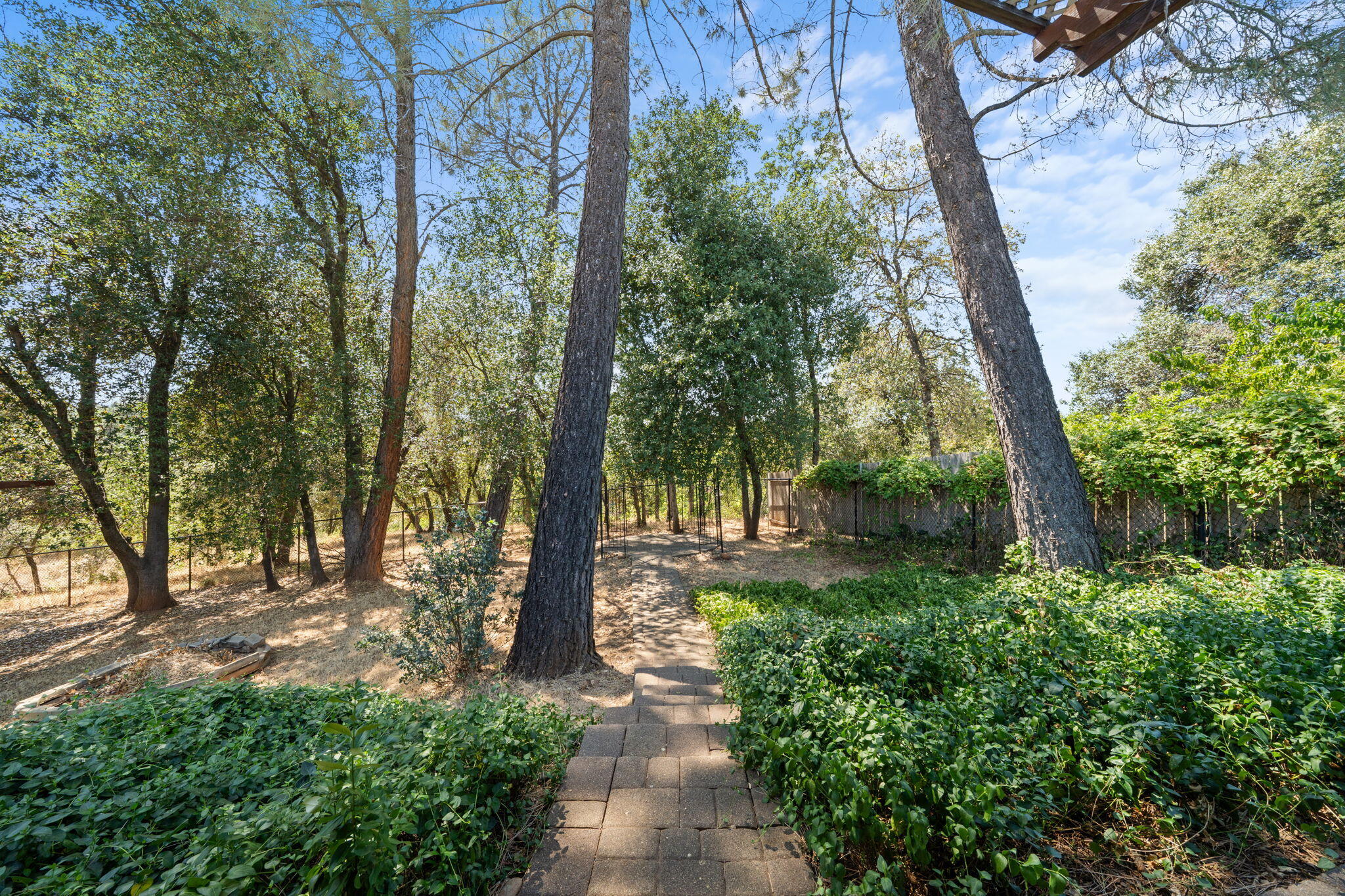 3790 Indio Way Redding, CA 96002 - Photo 44 of 51 Backyard