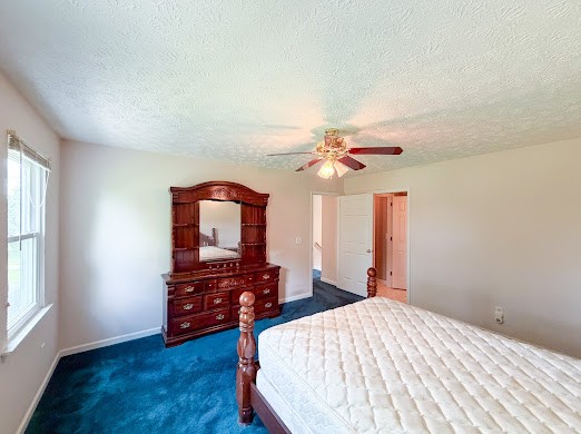 2019 Almaville Road Smyrna, TN 37167 - Photo 24 of 32