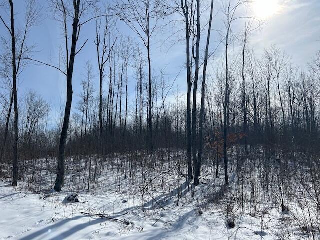 9 East 9 Mile Road Lakeview, MI 48850 - Photo 15 of 16