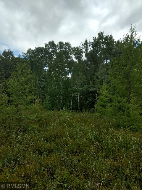 Xxx Stevens Lake Road Bruno, MN 55712 - Photo 1 of 1 Gallery Image 1