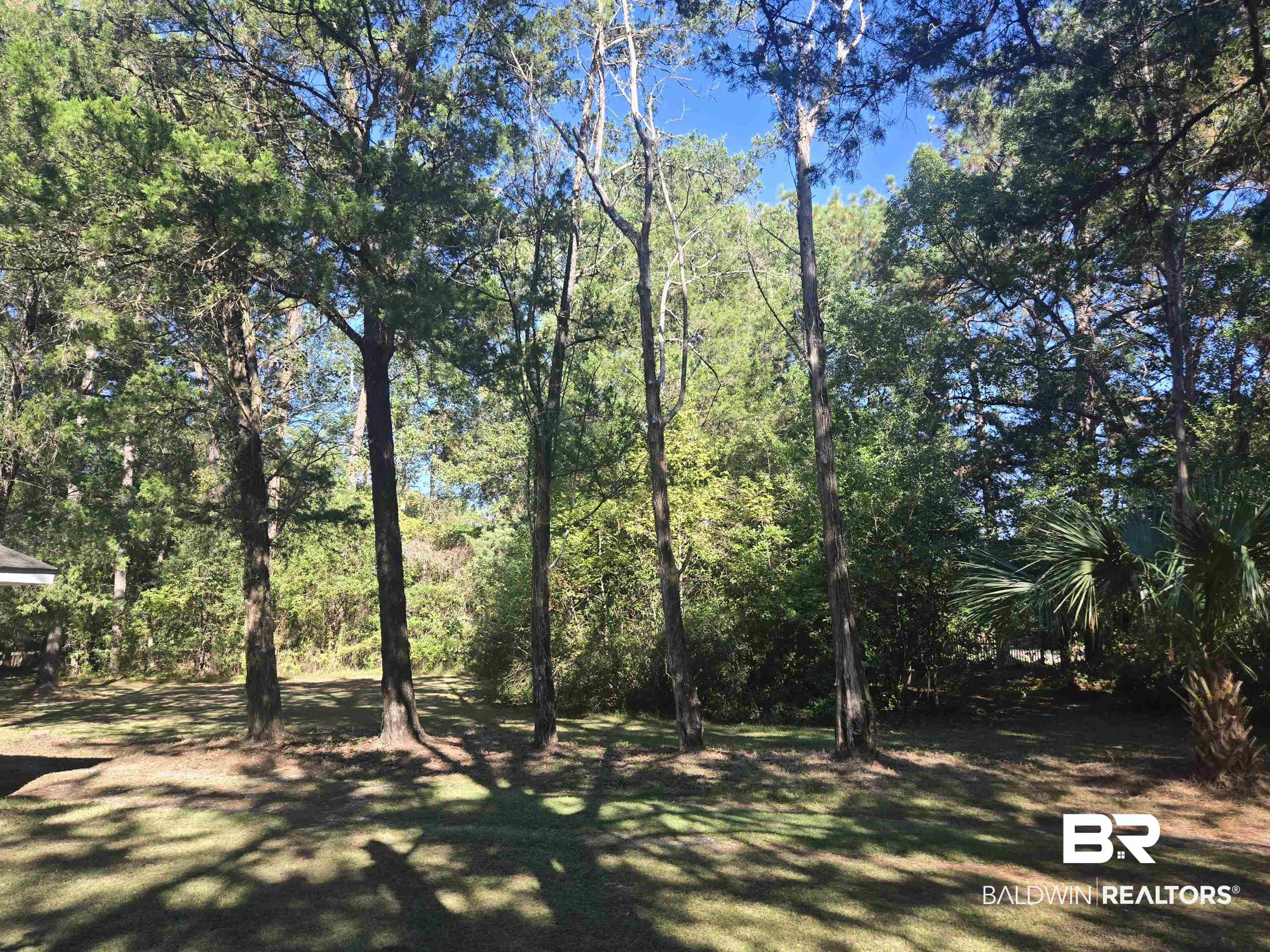 2554 Riverside Drive Mobile, AL 36605 - Photo 43 of 43 View of yard with a forest view