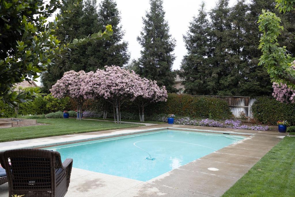 1877 North Coventry Avenue Clovis, CA 93619 - Photo 5 of 61 a view of a swimming pool with a lounge chair