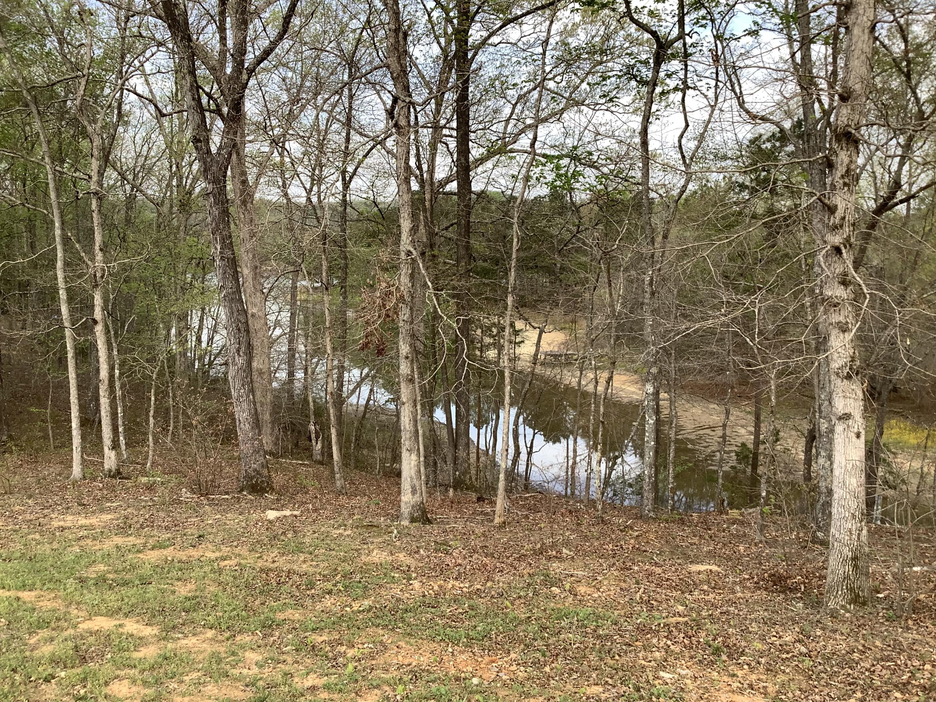 2515 Cottonport Road Decatur, TN 37322 - Photo 63 of 92 IMG_5447