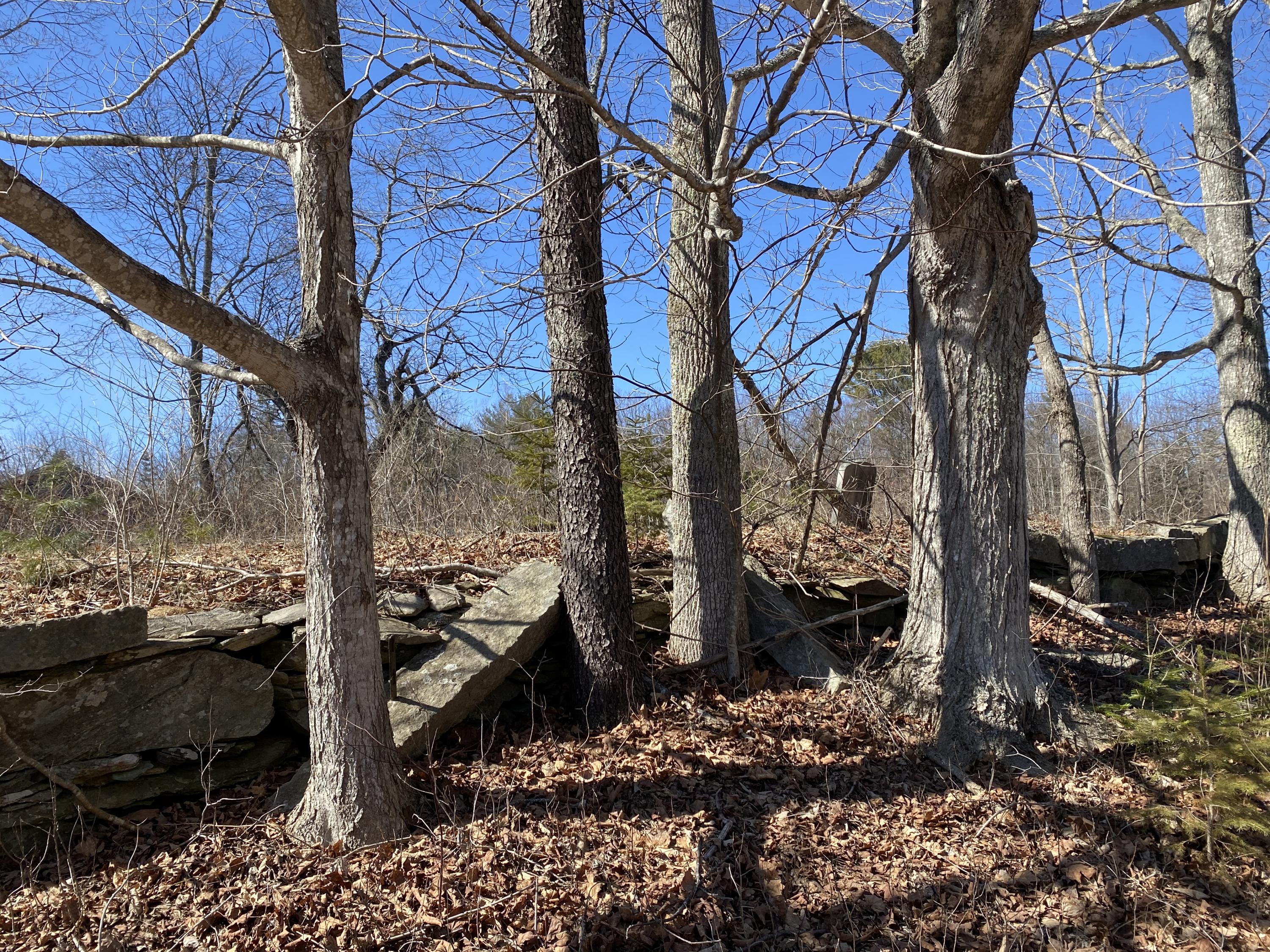 Lot 158 Monroe Road Winterport, ME 04496 - Photo 7 of 9 Old Barriers