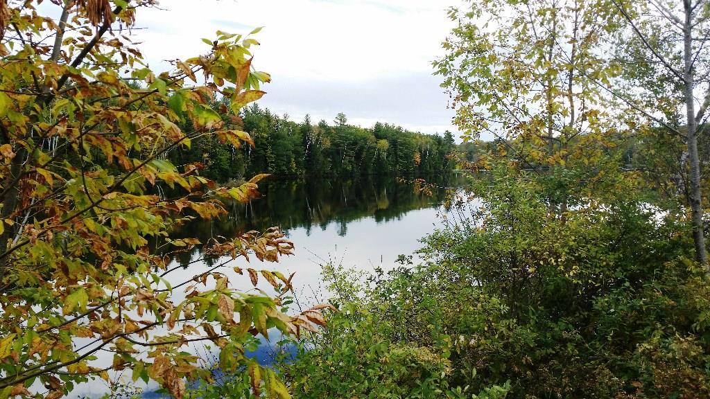 205 River Road North Anson, ME 04958 - Photo 3 of 16 Photo