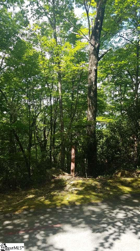 316 Rhododendron Cleveland, SC 29635 - Photo 1 of 6