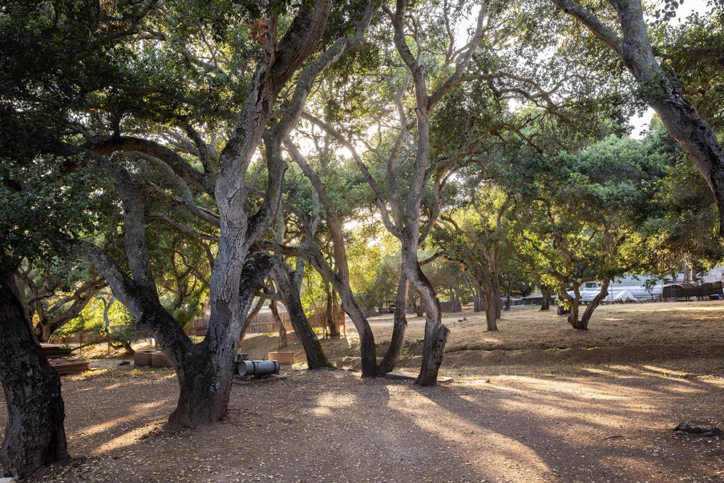 2 A La Rancheria Carmel Valley, CA 93924 - Photo 43 of 46 a view of a street with trees