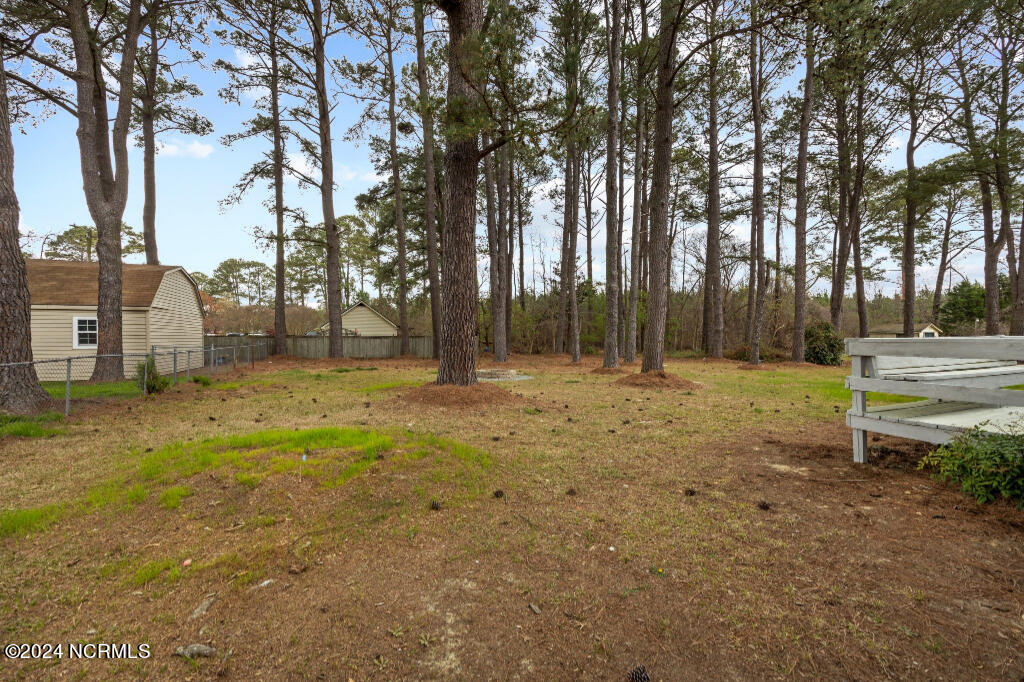 1103 Stoddard Road South Wilson, NC 27893 - Photo 4 of 19 03