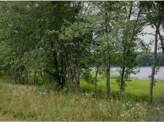Lot 2 Indiana Road West Gardiner, ME 04345 - Photo 5 of 10 Land/Lot.