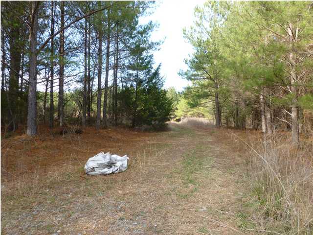 36 Pierce Road Birchwood, TN 37308 - Photo 3 of 9 Additional Photo