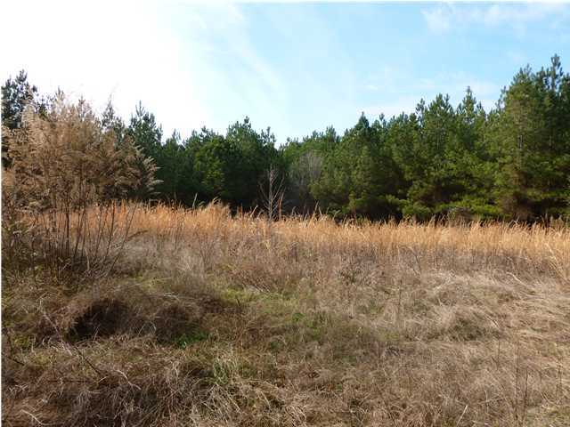 36 Pierce Road Birchwood, TN 37308 - Photo 4 of 9 Additional Photo