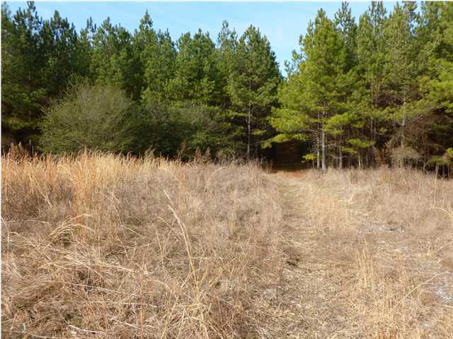 36 Pierce Road Birchwood, TN 37308 - Photo 5 of 9 Additional Photo