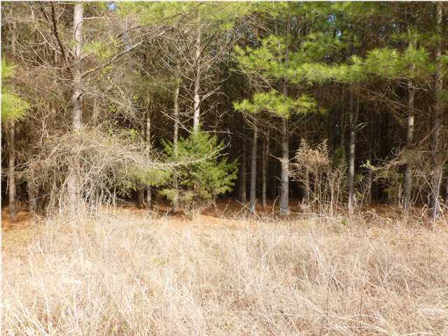 36 Pierce Road Birchwood, TN 37308 - Photo 6 of 9 Additional Photo