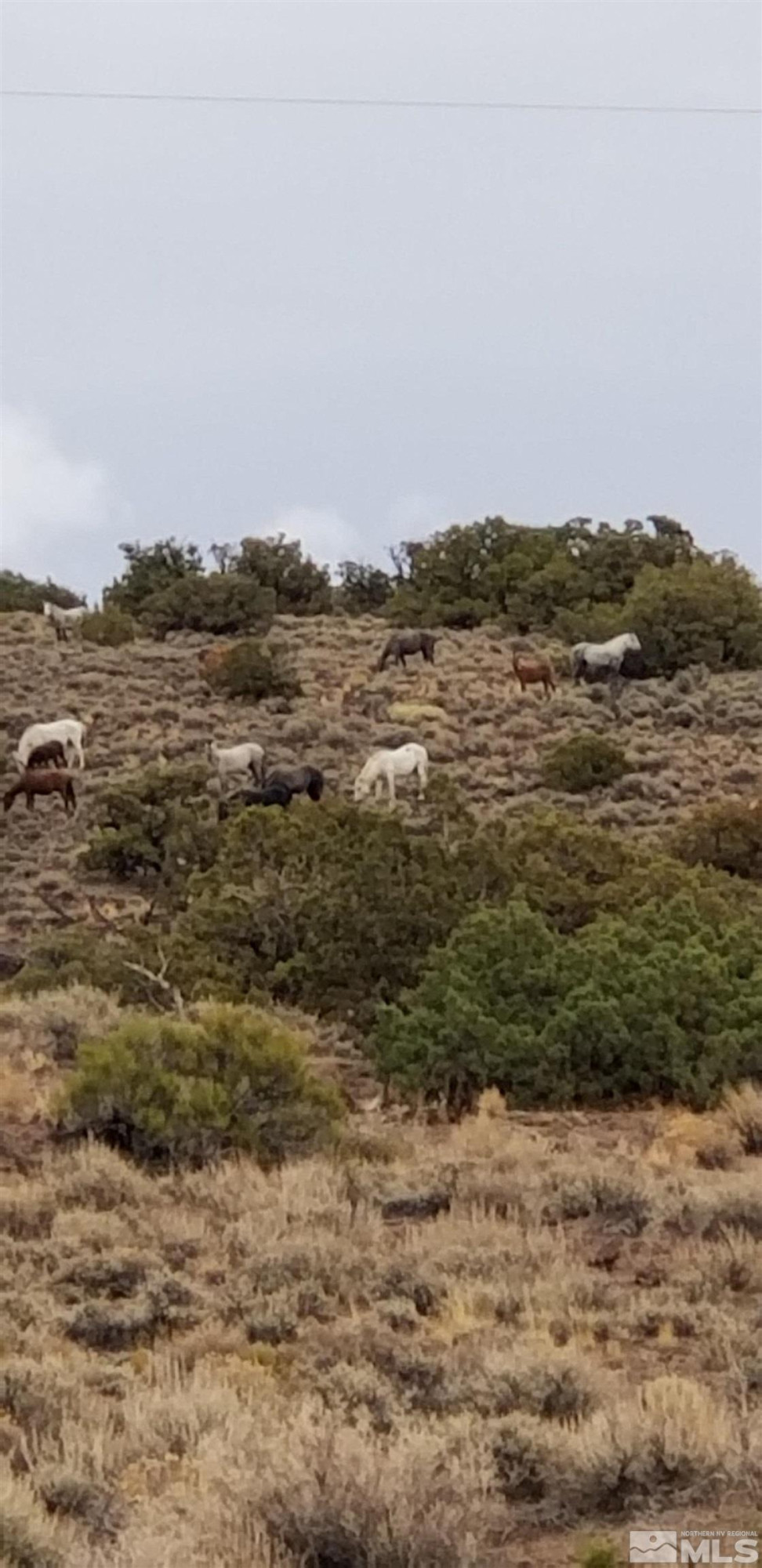 0 Curnow Canyon Road Sparks, NV 89441 - Photo 16 of 19