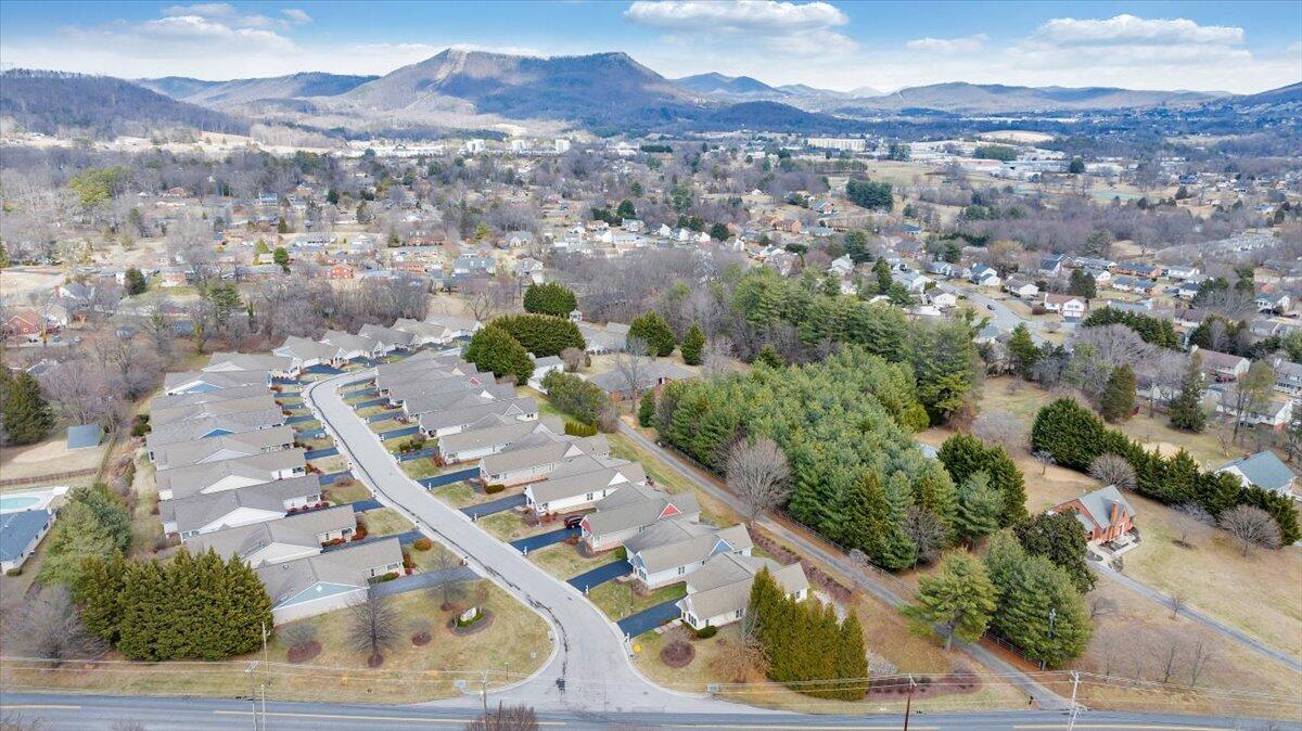 7951 Barrens Road Roanoke, VA 24019 - Photo 101 of 105 a view of a city with a mountain