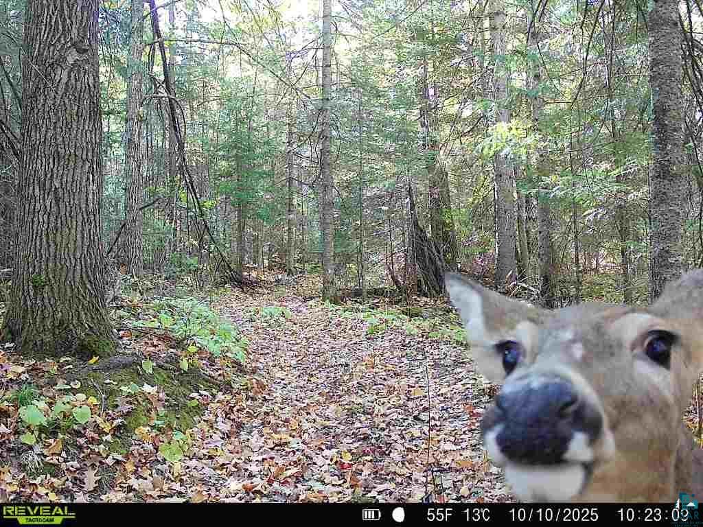 6692 County Rd C South Range, WI 54874 - Photo 31 of 33