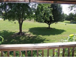 317 Rambling Road Jonesborough, TN 37659 - Photo 12 of 15 View from front porch