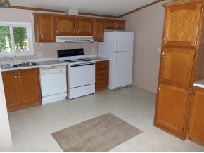 317 Rambling Road Jonesborough, TN 37659 - Photo 4 of 15 Spacious kitchen