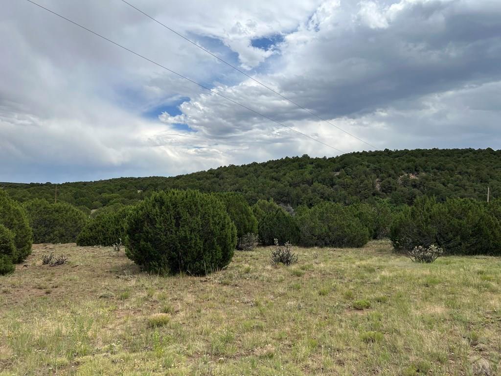 0 Sunrise Road Walsenburg, CO 81089 - Photo 3 of 4