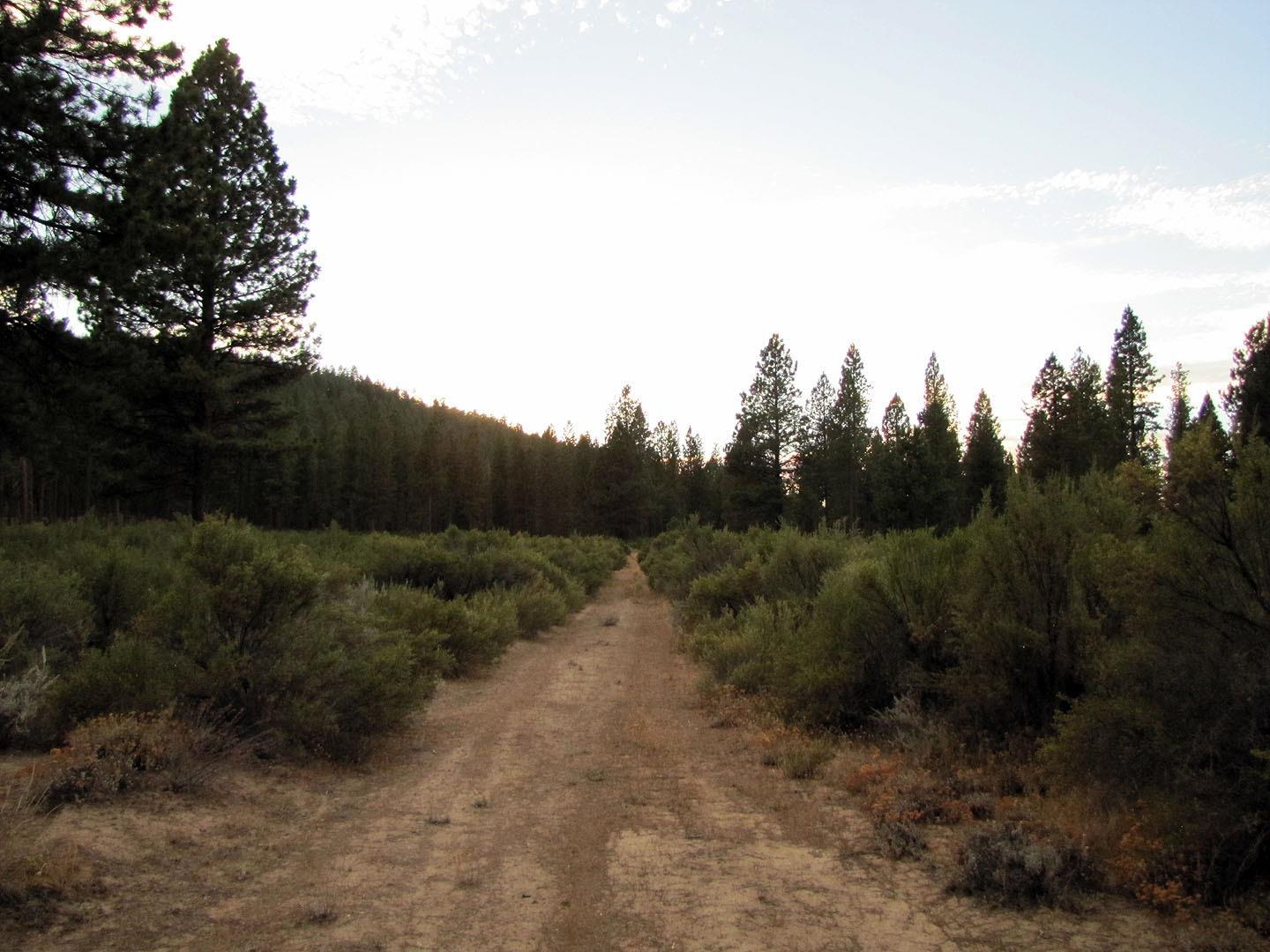 0 Sprague River Road Chiloquin, OR 97624 - Photo 5 of 15 Additional Photo