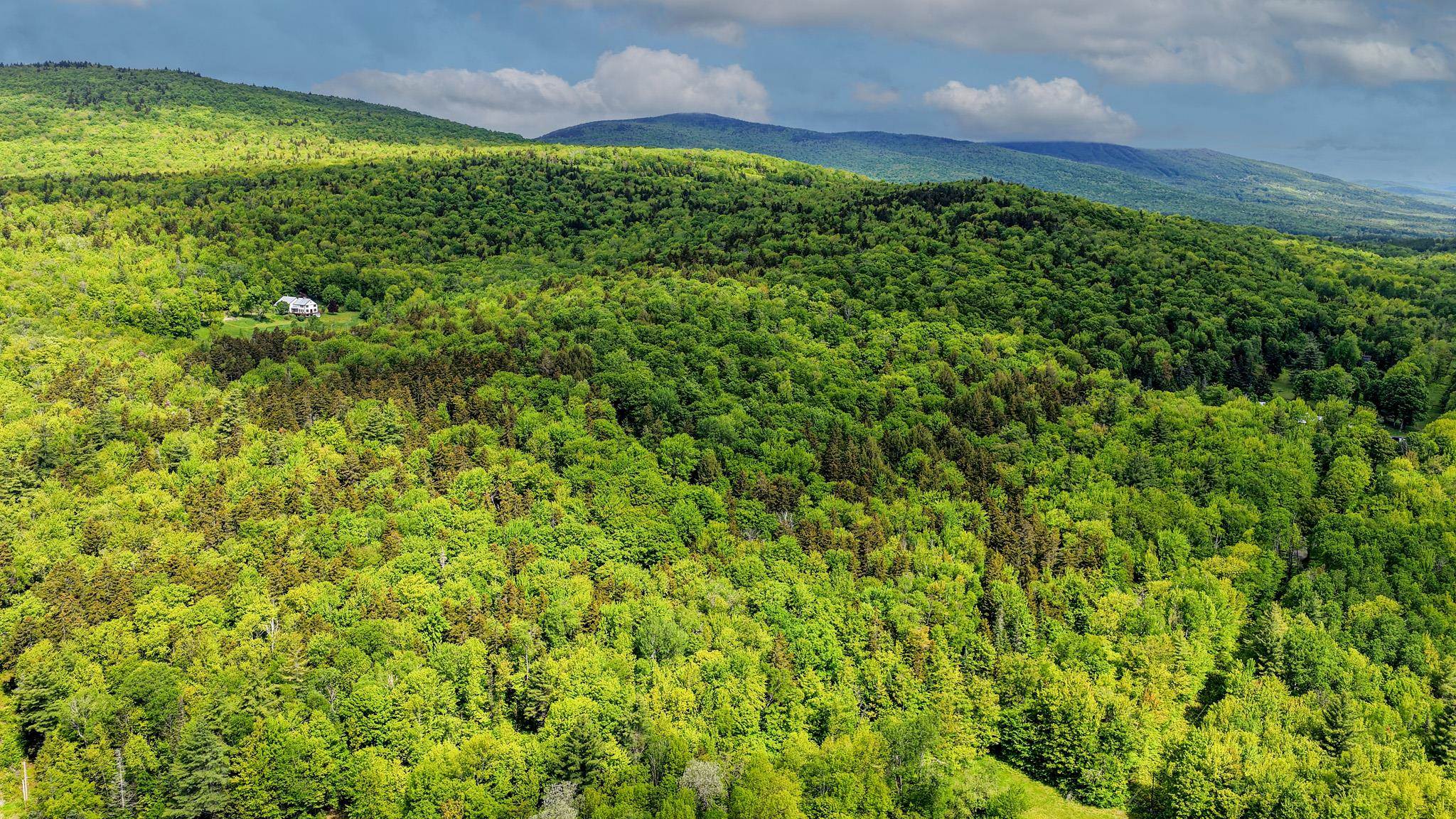 0 East Hill Road Andover, VT 05143 - Photo 4 of 17